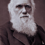 Darwin