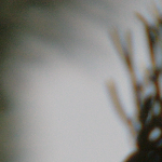 BANNER_6