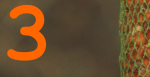 2023-1