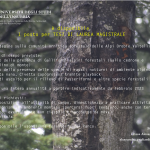 cartello_tesi_alessandra_22_SPE