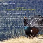 cartello_tesi_alessandra_22_TRI