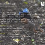 tesi-scoiattolo_2022_23pdf