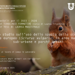 cartello_RT_tesi_scoiattolo_2023