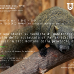 cartello_RT_tesi_callosciurus_2024